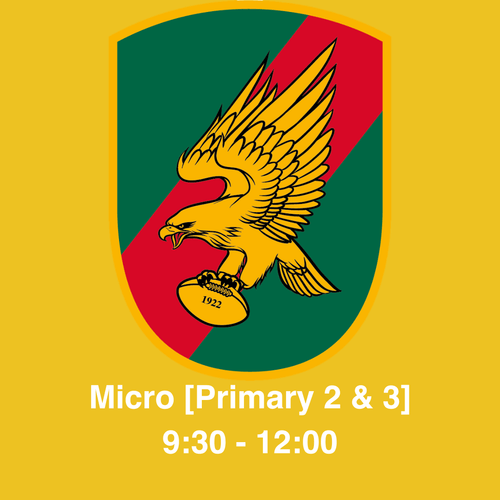 Summer Camp 2025 | Micro [Primary 2 & Primary 3] | 21st - 25th July 2025 image 0